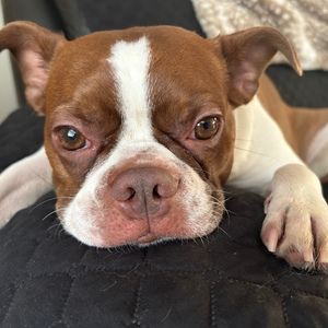 Meet your Posher, Walter